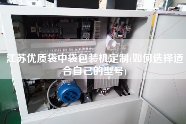 江蘇優質袋中袋包裝機定制(如何選擇適合自己的型號) 江蘇優質袋中袋包裝機定制(如何選擇適合自己的型號)